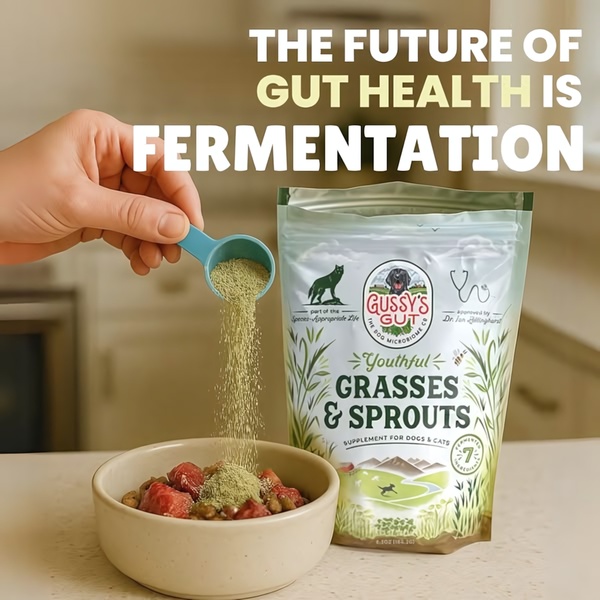 A close-up shot showing a hand sprinkling a green supplement powder into a bowl of food next to a bag of Gussy's Gut.